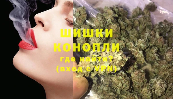 стаф Ельня